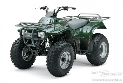 Product picture Kawasaki KLF 250 Workhorse 250 Bayou 250 Service Manual 2002